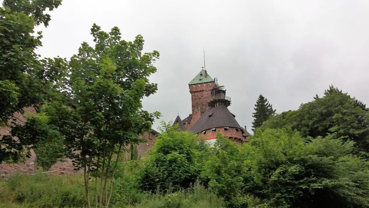 Au Coeur D'Alsace Διαμέρισμα Κολμάρ Εξωτερικό φωτογραφία